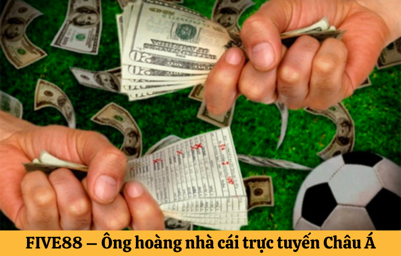 trang cá độ bóng đá uy tín